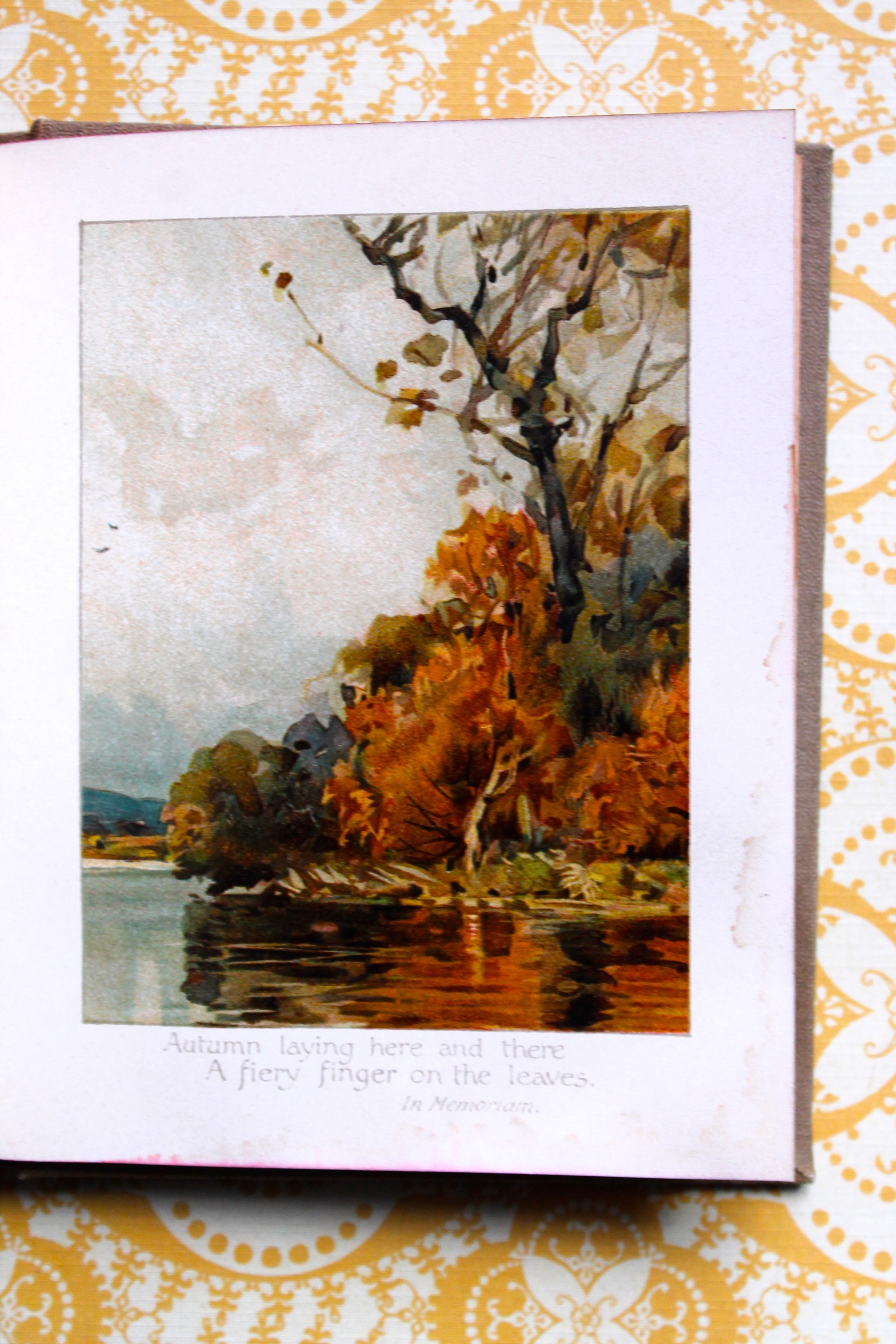 antique tennyson gem birthday book miss used books blog